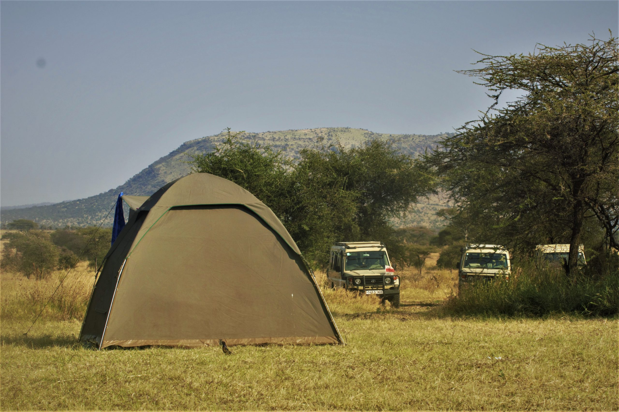 Badget safari in tanzania