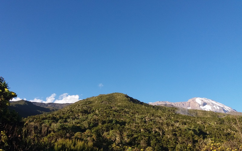kilimanjaro marangu route