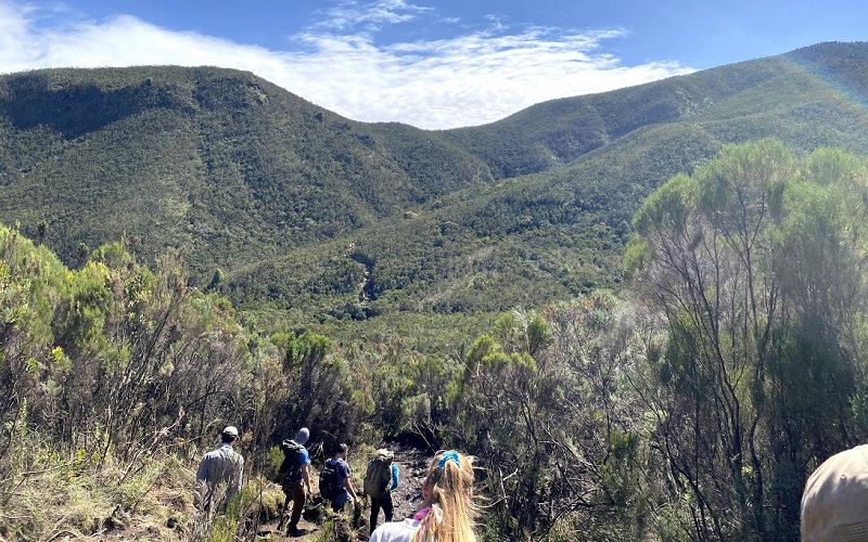 kilimanjaro rongai route