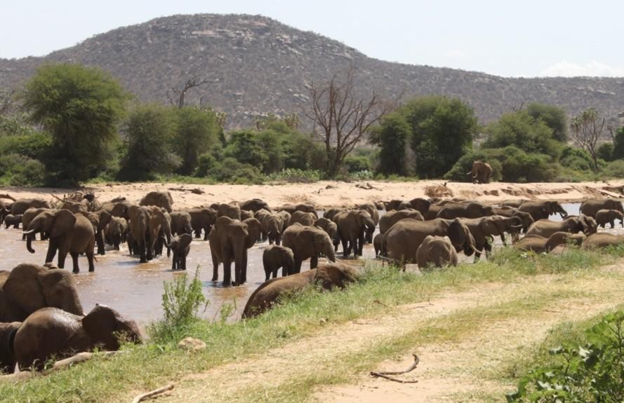 RUAHA NATIONAL PARK